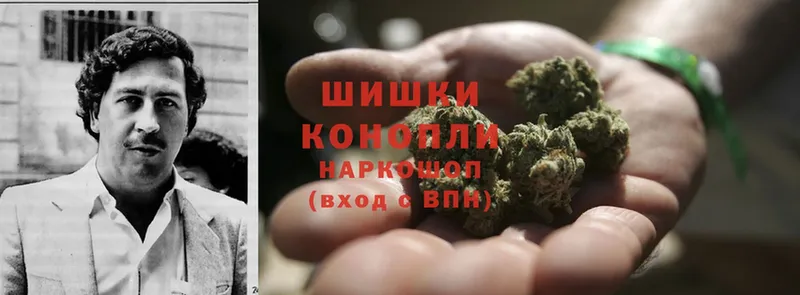 Каннабис Bruce Banner  магазин  наркотиков  Тында 